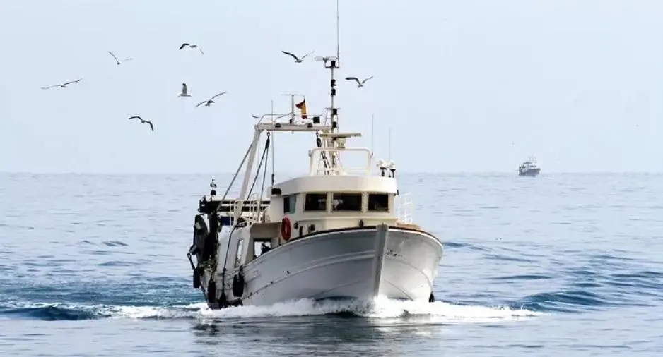 images Pesca di frodo e burocrazia, la protesta dei pescatori ambientalisti calabresi