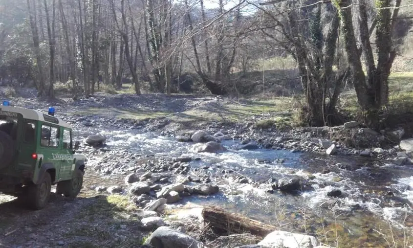 images Accumulavano portiere e cofani di auto creando discariche abusive nel Reggino: 4 denunce