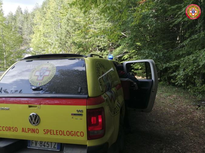images Ritrovati due fungaioli dispersi nei boschi del Pollino