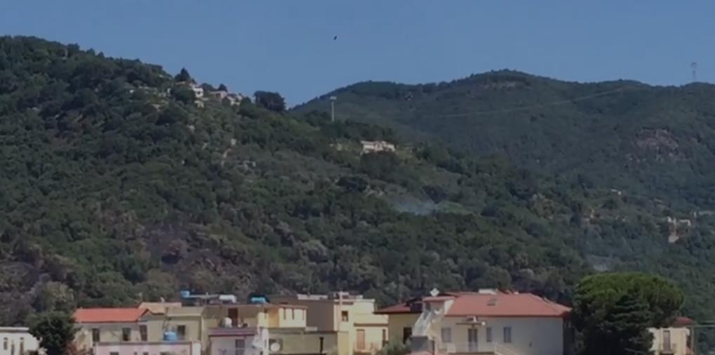 images Catanzaro. Domato l'incendio nel quartiere Piterà