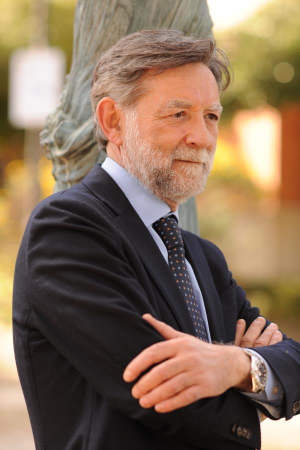 images Olivicoltura, Donato: "Valorizzare il nostro patrimonio olivicolo, puntando anche sull'agricoltura sociale"