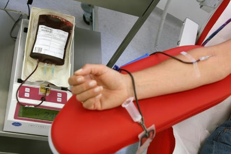 images Coronavirus. I ragazzi di Gioventù nazionale donano il sangue: "E' fondamentale farlo in questo momento difficile"  