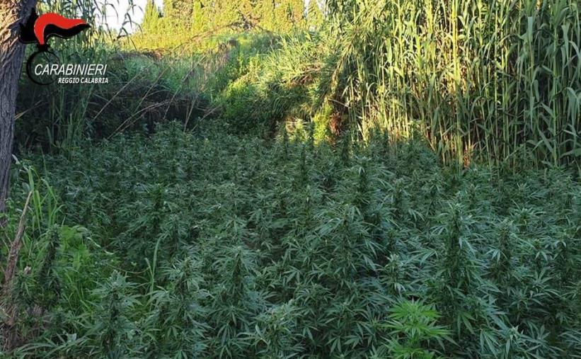 Djepicsamu, la sua passione in musica a soli 15 anni images Djepicsamu, la sua passione in musica a soli 15 anni