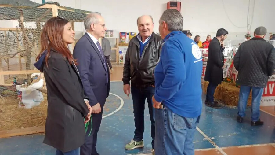 Lamezia celebra la X Mostra intersociale di avicoli e colombi ornamentali images Lamezia celebra la X Mostra intersociale di avicoli e colombi ornamentali