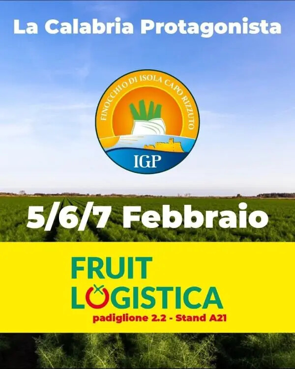 images Il Finocchio IGP di Isola Capo Rizzuto presente a Berlino per l'importante fiera Fruit Logistica