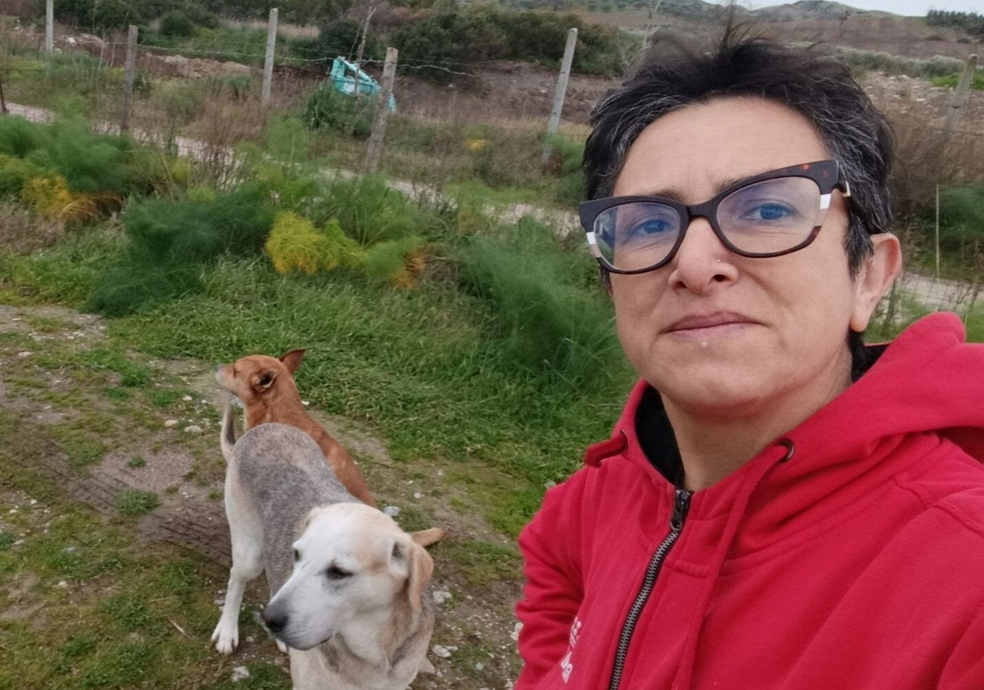 images Caso "Gatti di Catanzaro", la difesa dell'Associazione "Anima Randagia"