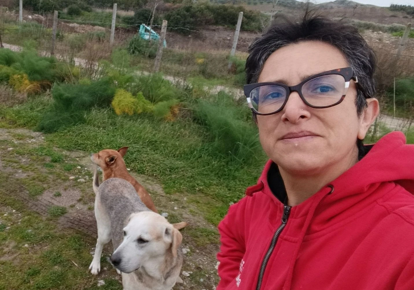 Caso "Gatti di Catanzaro", la difesa dell'Associazione "Anima Randagia"