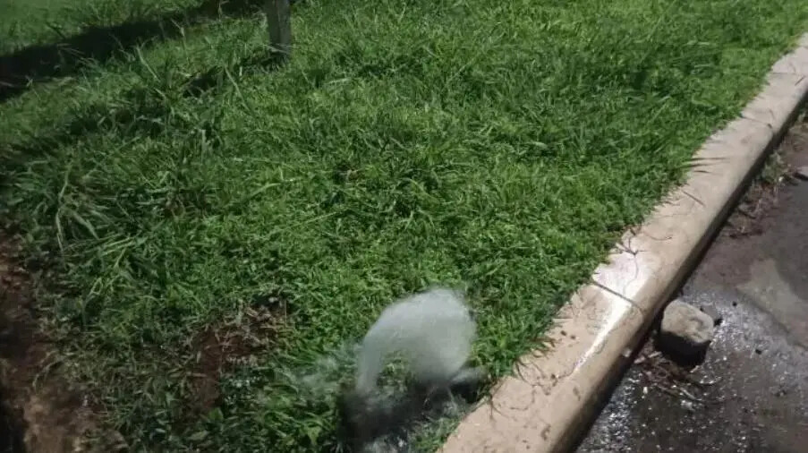 images Vandalizzati irrigatori sul lungomare di Catanzaro, Arcuri: "Più controlli contro gli incivili"  