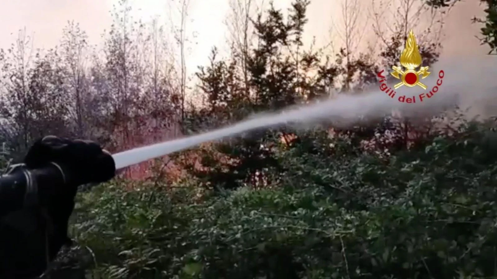 Incendio di sterpaglie sulla A2 a Firmo (Cs): chiuse entrambe le carreggiate per il fumo