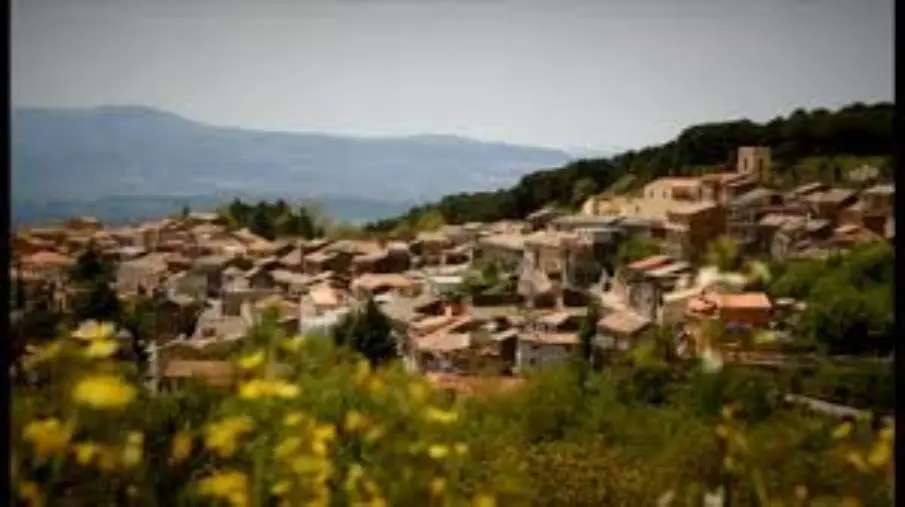 Il Comune di Miglierina incluso nella Rete dei Consiglieri locali dell’Unione europea images Il Comune di Miglierina incluso nella Rete dei Consiglieri locali dell’Unione europea