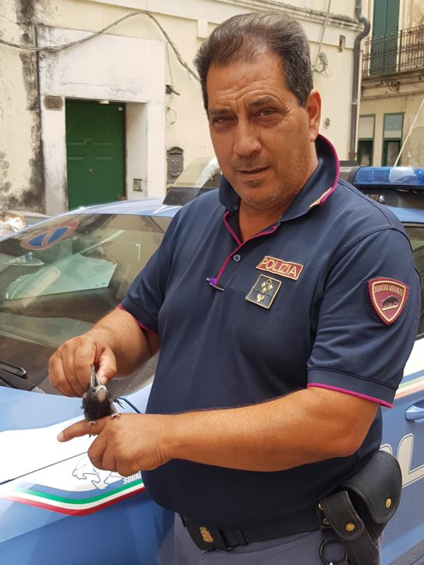 Il sovrintendente capo Antonio Cunsolo va in pensione, il saluto del P.N.F.D: “Figura di riferimento della Questura di Catanzaro" images Il sovrintendente capo Antonio Cunsolo va in pensione, il saluto del P.N.F.D: “Figura di riferimento della Questura di Catanzaro"