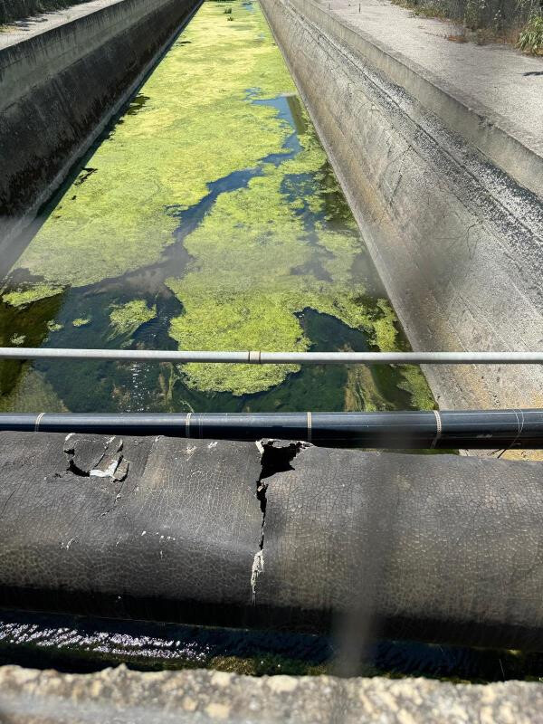 images Lamezia Terme, individuato danno a condotta fognaria che inquina il mare 