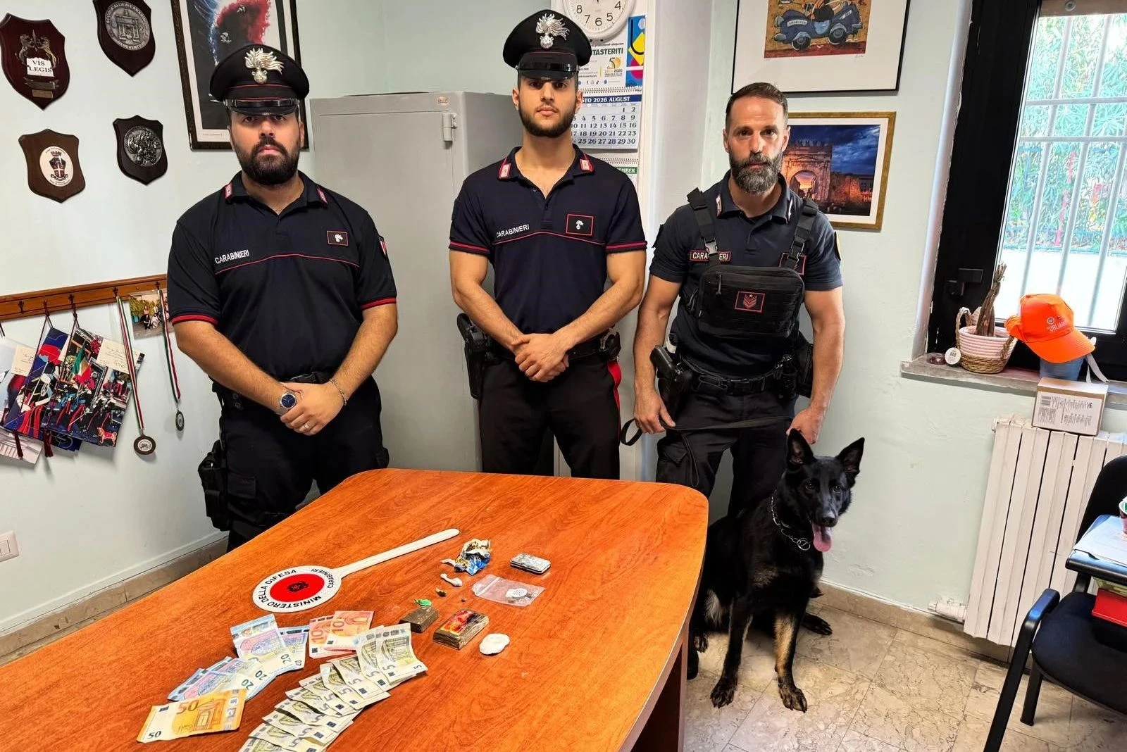 Il fiuto di Kira non tradisce: 18 rumeno arrestato nel Crotonese per detenzione di droga ai fini di spaccio  