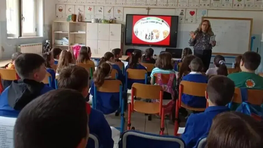“Parole come pesci”: la graphic novel per l’infanzia di Sina Mazzei nella scuola di Vena di Maida images “Parole come pesci”: la graphic novel per l’infanzia di Sina Mazzei nella scuola di Vena di Maida