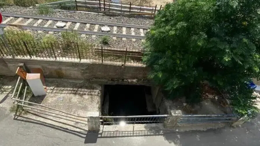 images Il Gruppo “UniAmo Botricello”: “Omissioni e bugie del Sindaco sulla problematica del virus West Nile”