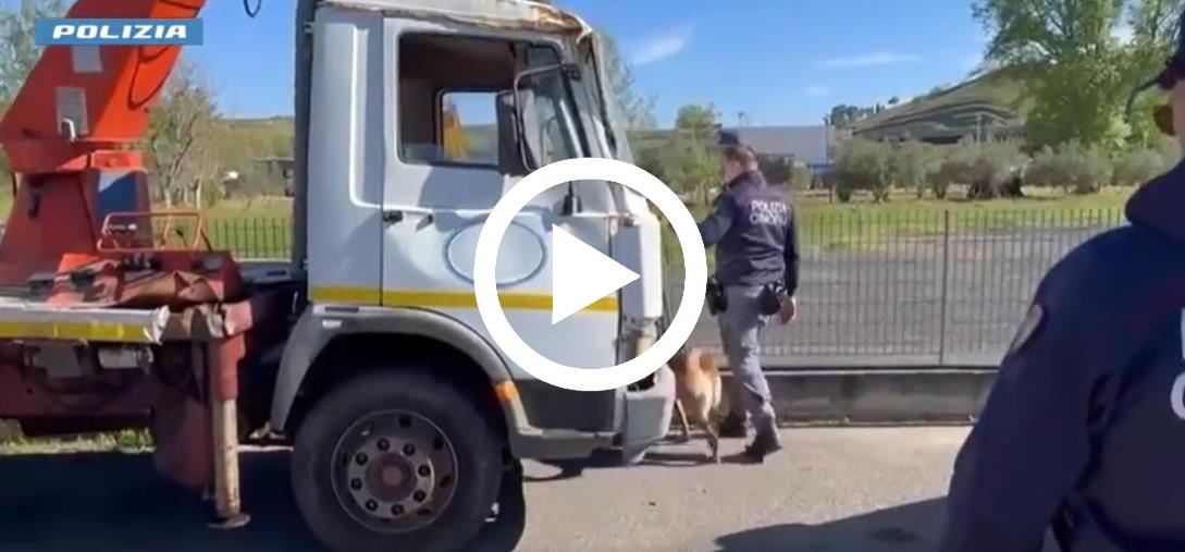 images Riciclava auto rubate: scatta l'obbligo di dimora e il sequestro preventivo di una società nel Vibonese
