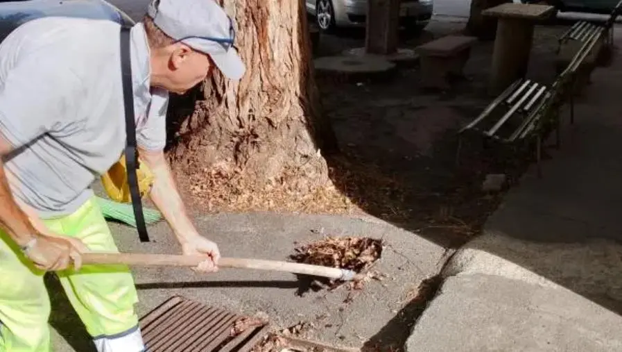 Catanzaro, Sergi: “In corso la pulizia di caditoie e canaloni” images Catanzaro, Sergi: “In corso la pulizia di caditoie e canaloni”
