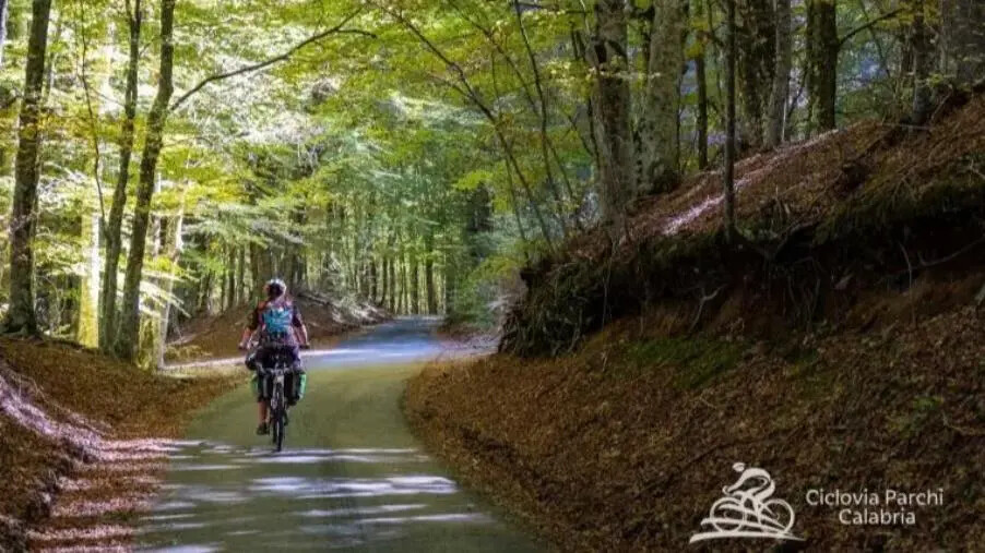 BAM! On the road-Calabria Edition: a maggio l'evento cicloturistico per un'esperienza immersiva unica images BAM! On the road-Calabria Edition: a maggio l'evento cicloturistico per un'esperienza immersiva unica