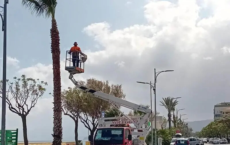Verde, illuminazione pubblica e rotatorie artistiche: per Barberio "Lido inizia a rifarsi il look" images Verde, illuminazione pubblica e rotatorie artistiche: per Barberio "Lido inizia a rifarsi il look"