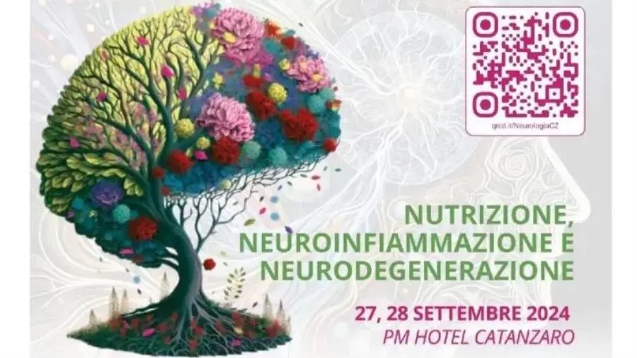 A Catanzaro il convegno regionale di “Nutrizione, neuroinfiammazione e neurodegenerazione” images A Catanzaro il convegno regionale di “Nutrizione, neuroinfiammazione e neurodegenerazione”