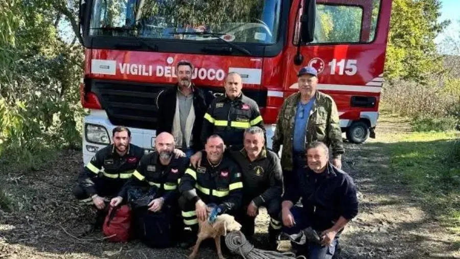 images Caraffa, recuperato dai vigili del fuoco cane da caccia scivolato in un dirupo 
