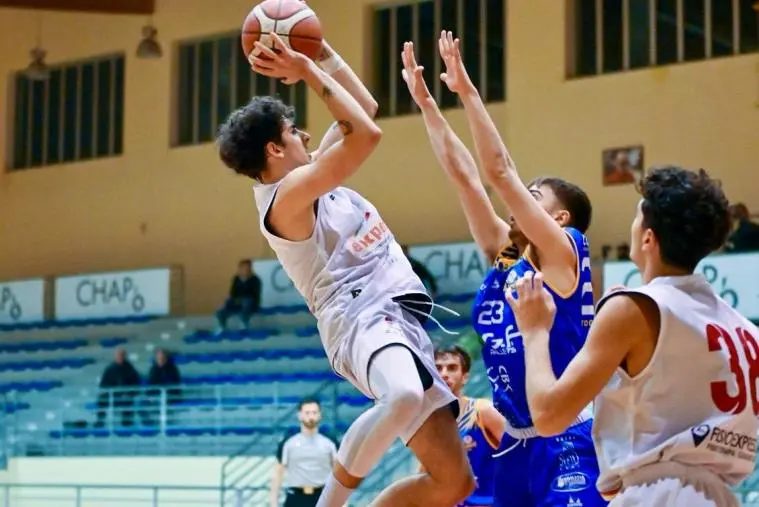 Il play Canestrari rimane alla Basket Academy Catanzaro  images Il play Canestrari rimane alla Basket Academy Catanzaro