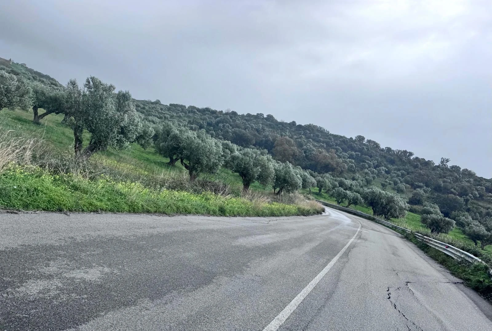 Italia del Meridione sulla strada Campora–Cleto: "La Provincia intervenga"