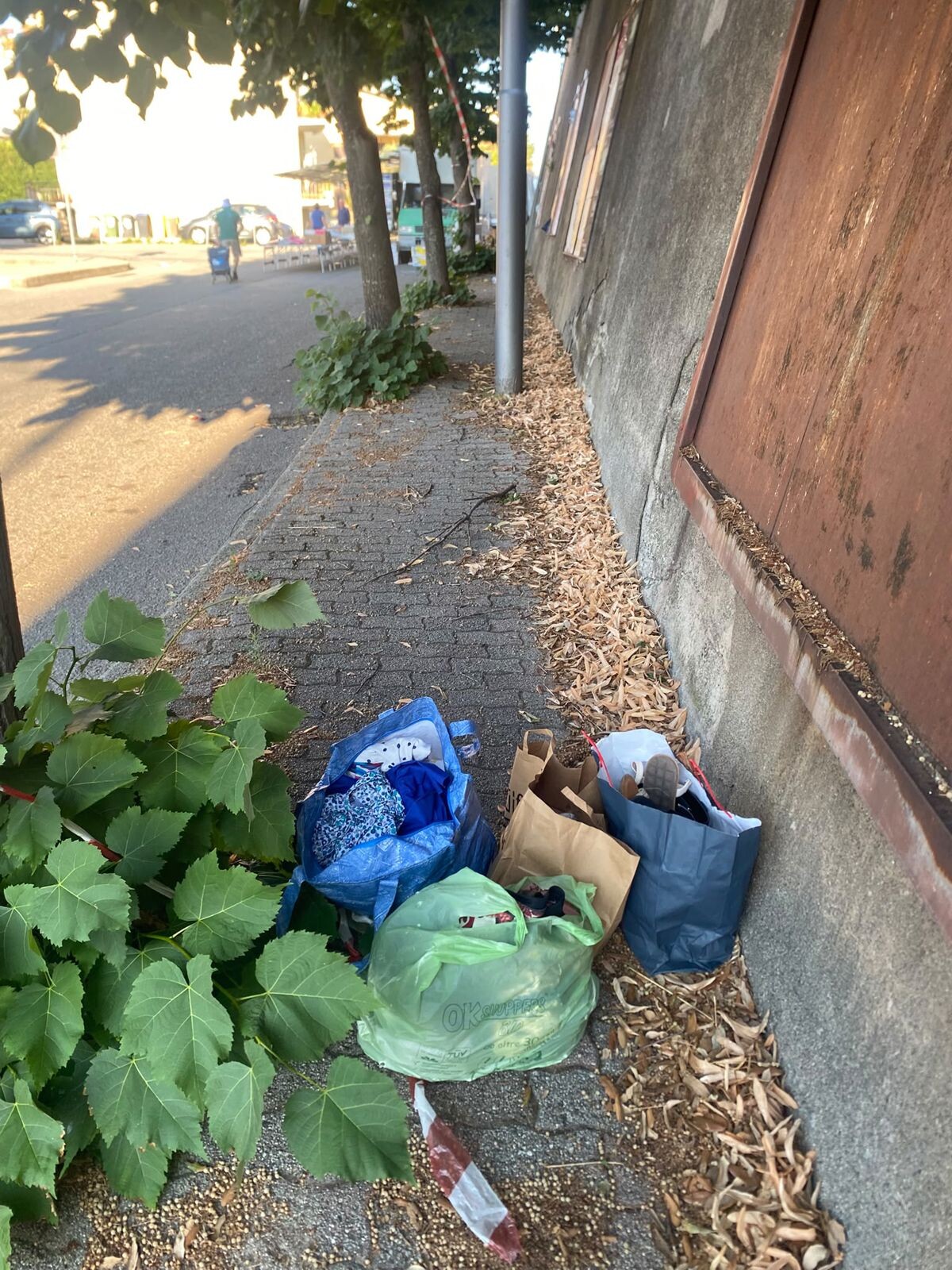 images Costa: "Mercati rionali mortificati dal Comune, i presunti 'accorgimenti' hanno trasformato i punti di raccolta in discariche abusive"