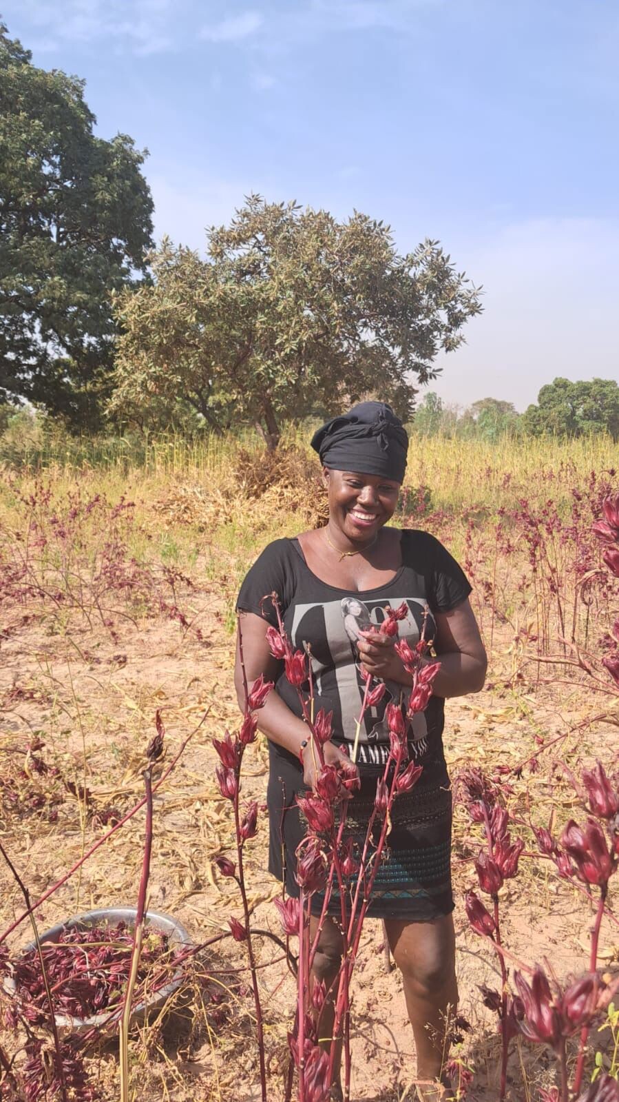 Il sindaco di Simeri Crichi Zicchinella: “Racconti dal Burkina Faso, il Bissap di Assetou” images Il sindaco di Simeri Crichi Zicchinella: “Racconti dal Burkina Faso, il Bissap di Assetou”