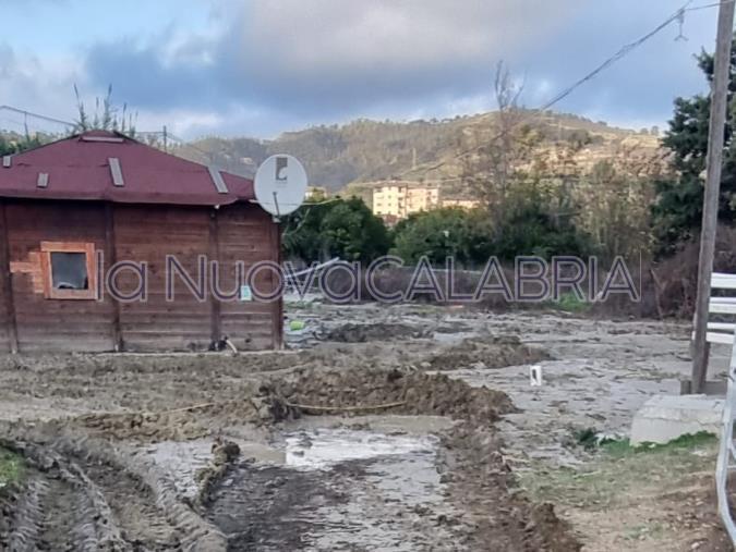 Catanzaro, i danni del maltempo fermano la pet therapy: "Invasi dal fango, per noi nessun aiuto" images Catanzaro, i danni del maltempo fermano la pet therapy: "Invasi dal fango, per noi nessun aiuto"