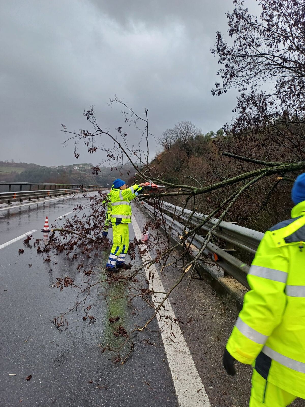images Alberi abbattuti sulla A2 per il maltempo: traffico rallentato tra Cosenza e Rogliano in direzione sud