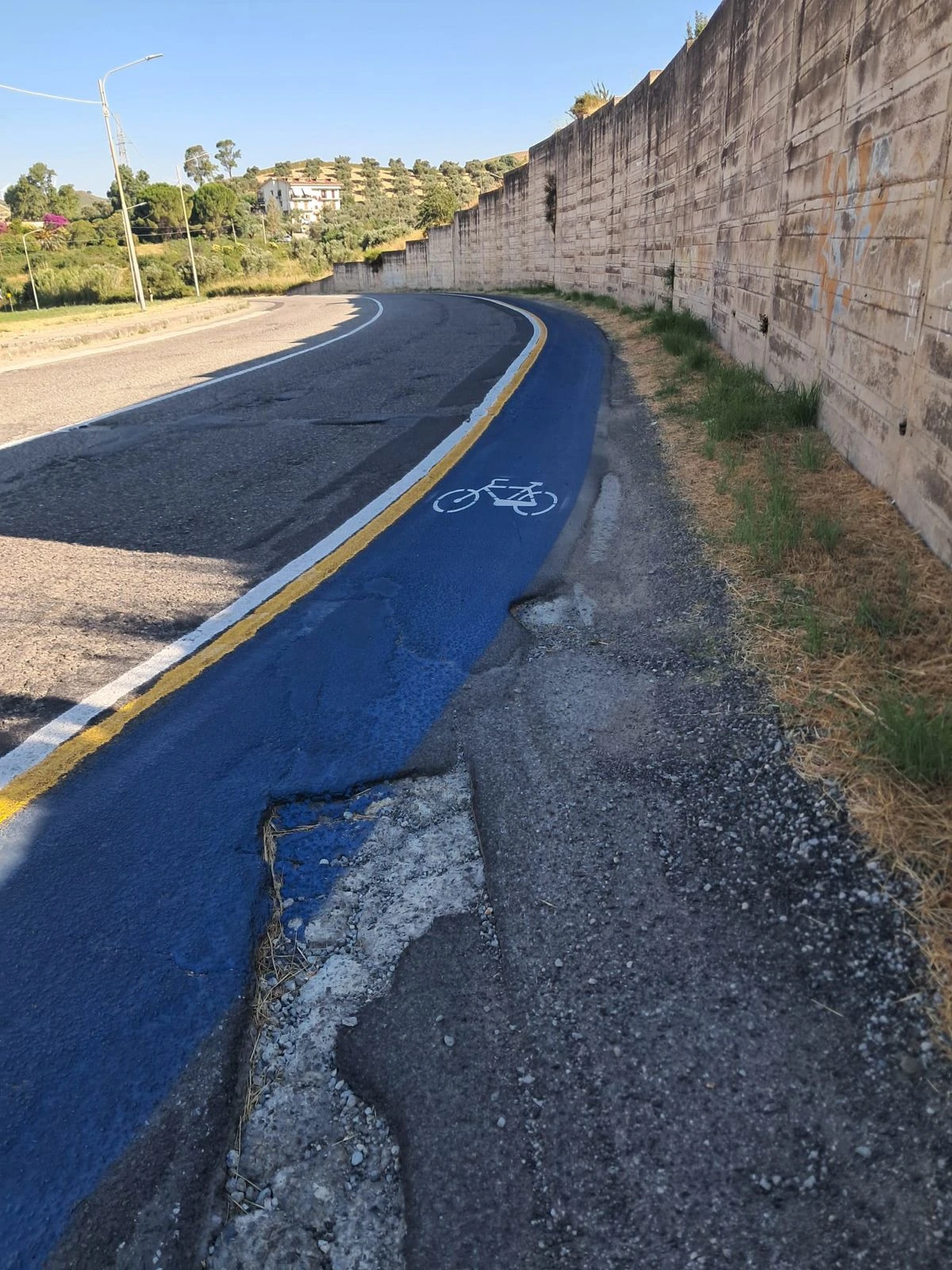 Piste ciclabili, 'Alleanza per Catanzaro': "Capellupo il pappagallo di Fiorita"