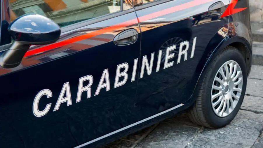 Reati ambientali: sequestri e denunce sull'Alto Tirreno cosentino images Reati ambientali: sequestri e denunce sull'Alto Tirreno cosentino