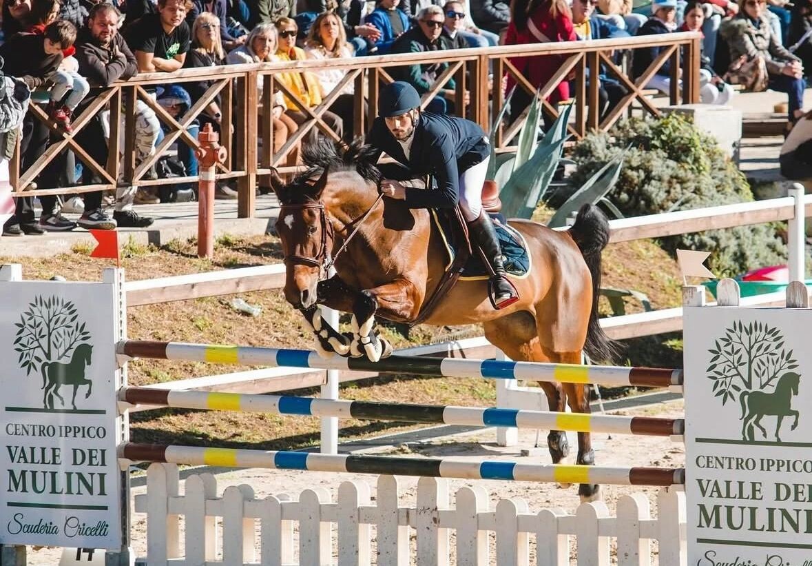 images Catanzaro, domani il grande spettacolo finale dei cavalli a Valle dei Mulini