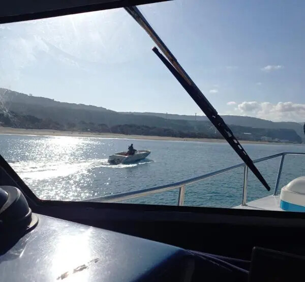 Traffico di rifiuti speciali a Bari: 6 indagati tra imprenditori e dirigenti della Regione (NOMI) images Traffico di rifiuti speciali a Bari: 6 indagati tra imprenditori e dirigenti della Regione (NOMI)