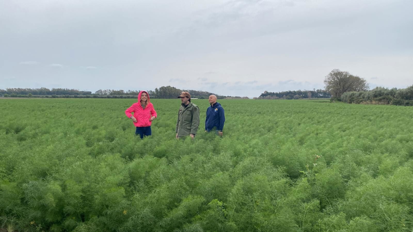 images La Calabria jonica protagonista sabato su Rai1 nella puntata di “Linea Verde Illumina”