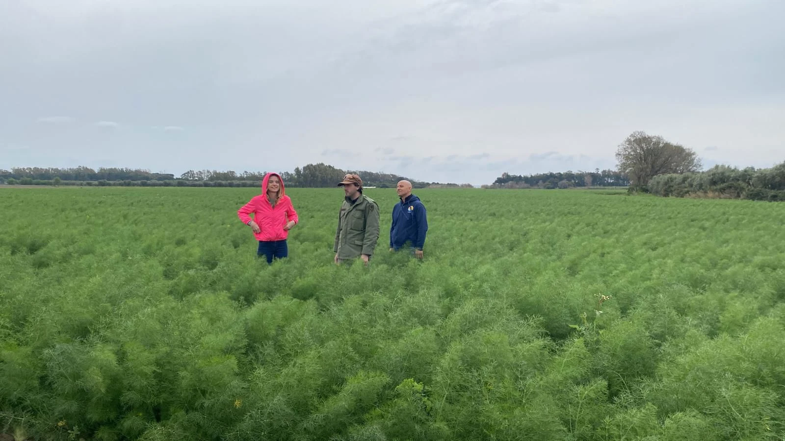 La Calabria jonica protagonista sabato su Rai1 nella puntata di “Linea Verde Illumina”