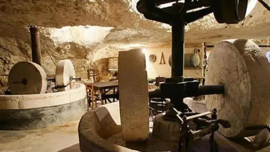 Al via a Cosenza il corso di formazione regionale per frantoiani e tecnici di frantoio images Al via a Cosenza il corso di formazione regionale per frantoiani e tecnici di frantoio