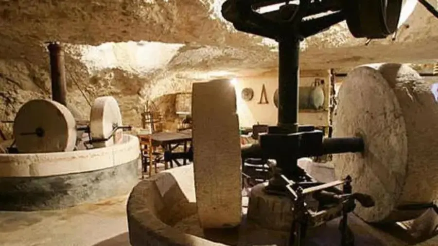 Al via a Cosenza il corso di formazione regionale per frantoiani e tecnici di frantoio  images Al via a Cosenza il corso di formazione regionale per frantoiani e tecnici di frantoio