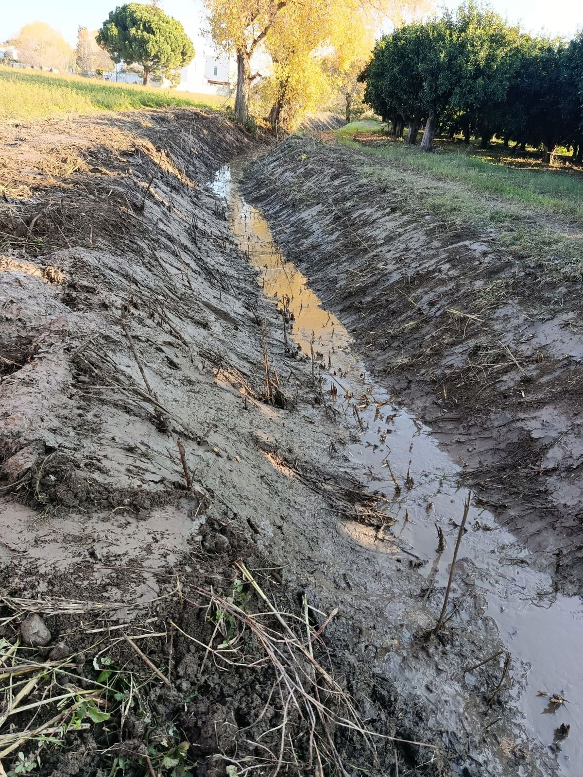 Simeri Crichi, il Comune realizza e programma interventi per prevenire rischi da eventi alluvionali images Simeri Crichi, il Comune realizza e programma interventi per prevenire rischi da eventi alluvionali