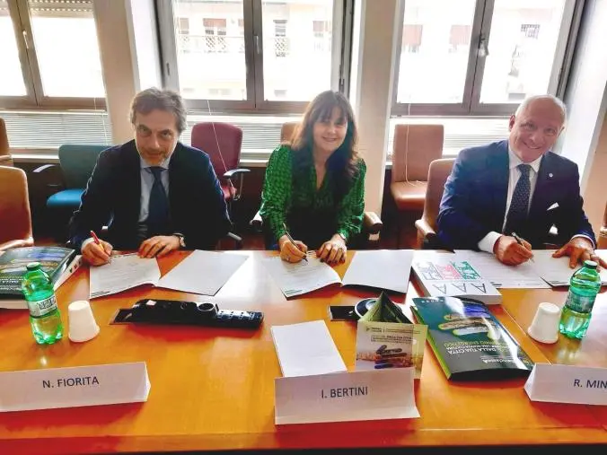 images Il Comune di Catanzaro opinion leader nazionale per l’efficienza energetico: siglato a Roma l’accordo con Enea