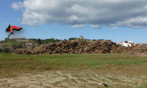 L’OPAT lancia l’allarme: tanica di liquido infiammabile rinvenuta nell’Oasi di Scolacium