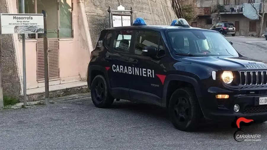 images Trasportavano rifiuti illecitamente, 2 denunce nel Reggino 