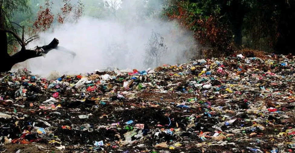 images Ecomafie, la Calabria quinta tra le regioni con più reati ambientali: il focus di Legambiente