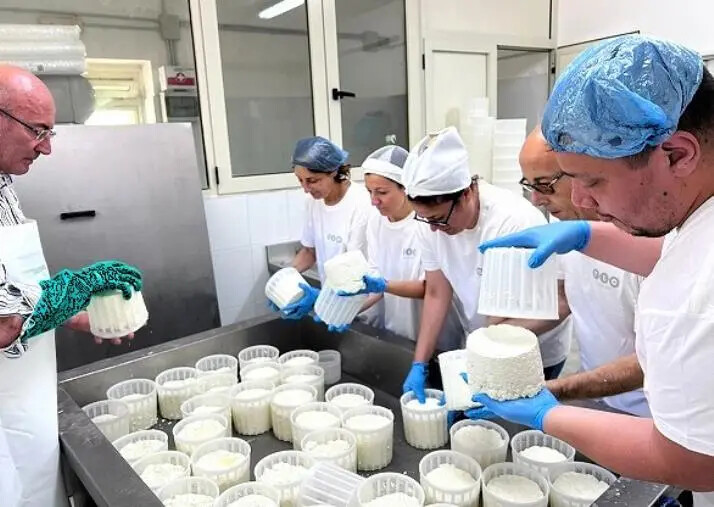 images Gli ITS Academy in Calabria, un nuovo modello di "formazione On the Job"