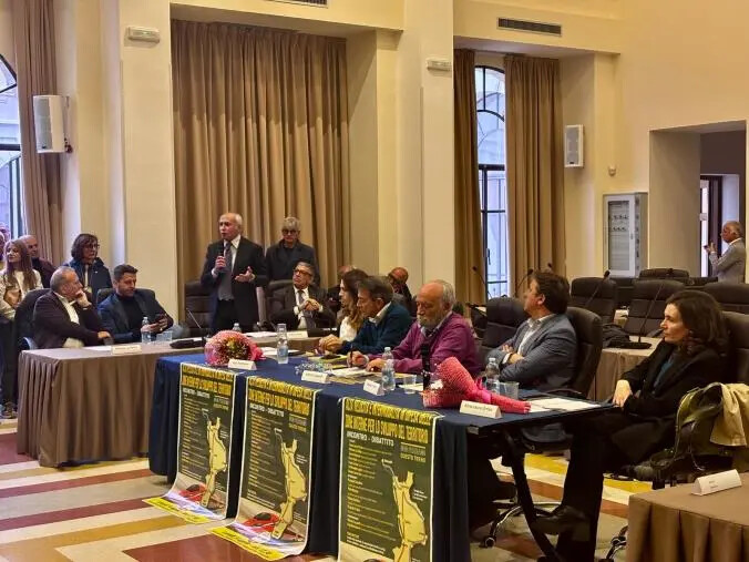 images Alta velocità Salerno-Reggio Calabria, il sindaco Caruso: “ Temo che non sarà mai realizzata”