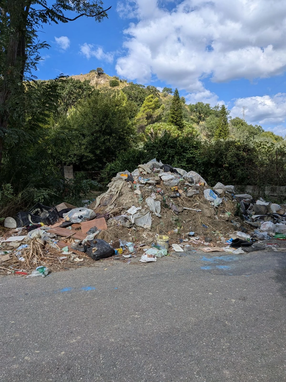 Emergenza rifiuti in via Tagliamento a Catanzaro, Barberio: "La Provincia intervenga subito"