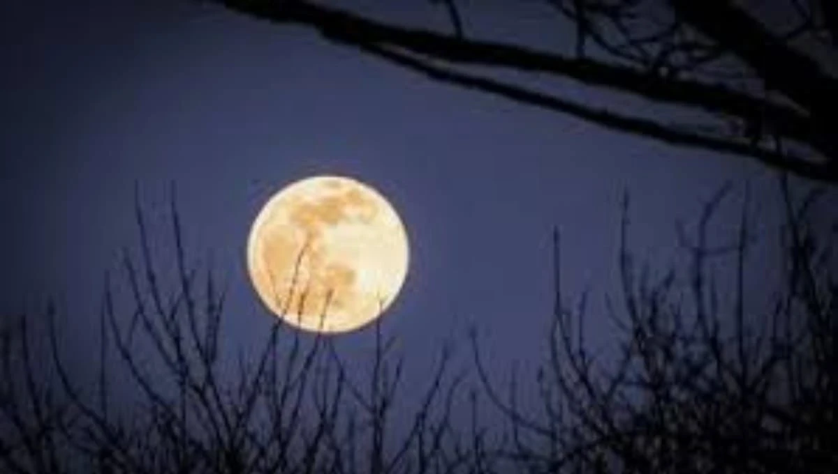 La Calabria sotto la magia della Superluna del Castoro: occhi al cielo per lo spettacolo del 5 novembre