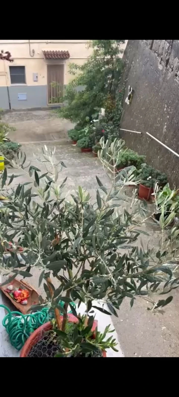 Via Pendici a Montauro ancora sotto l'acqua, i residenti: "Promesse non mantenute, ora abbiamo paura"