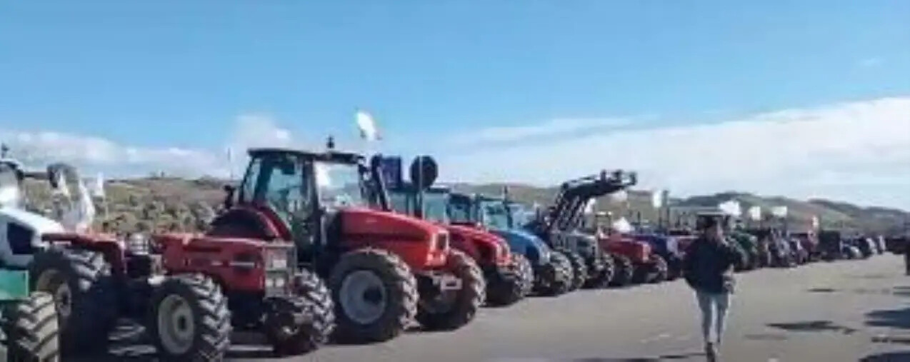 La rabbia degli agricoltori calabresi: cento trattori sotto la Cittadella regionale images La rabbia degli agricoltori calabresi: cento trattori sotto la Cittadella regionale
